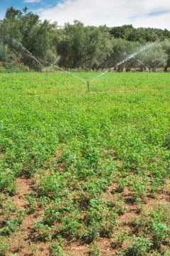 Irrigation systems Stock Photos