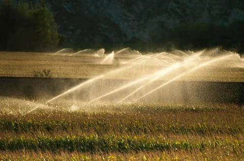 Irrigation systems on sunset Stock Photos