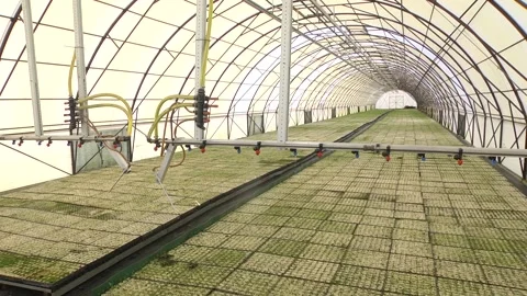 Irrigation technology in the greenhouse. Stock Footage 203412877