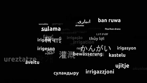 Irrigation Translated in 54 Worldwide Languages Endless Looping 3d Zooming Wo Video stock 145200631