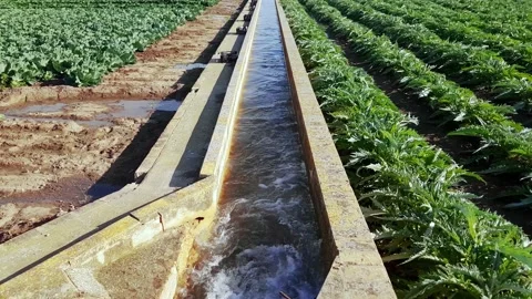 Irrigation water channel Stock-Footage 170069130