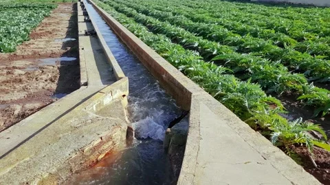 Irrigation water channel Stock-Footage 170069134