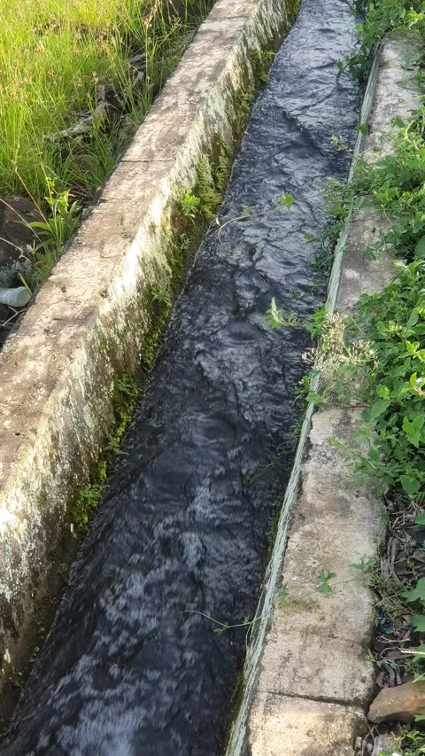 Irrigation water channels in the rice fields in the village Stock Footage 329321641