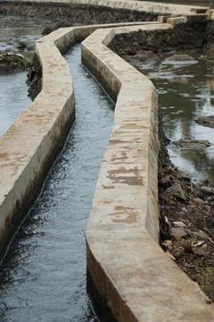 Irrigation water flows Stock Photos