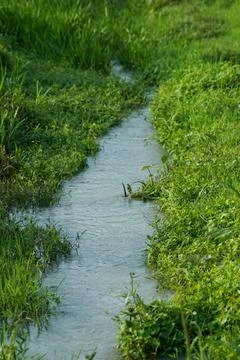 Irrigation water flows in a winding path Stock-Fotos