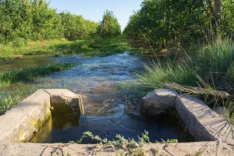 Irrigation well that slowly emanates water to water rows of fruit trees. Floo Stock Photos