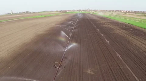 Irrigation of young paprika field in spring. Aerial footage. Stock Footage 67415519