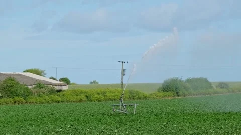 Irrigator in a crop field Stock-Footage 310209466