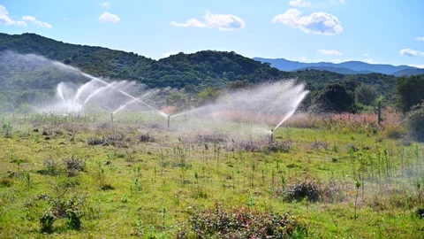 Irrigators Combat the Harsh Summer Drought by Watering Pastures Stock Footage 303965564