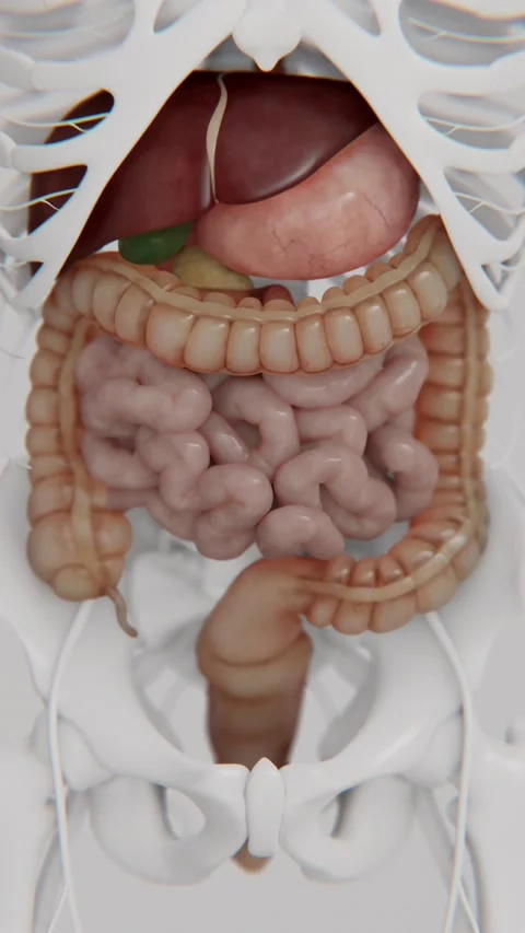 Irritable bowel syndrome in Vertical format | Vertical video of Human Stock-Footage 288312289