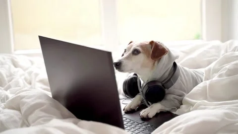 Iryna Kalamurza Vídeo Stock 147353005