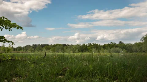 Iryna Sakada Stock Footage 130664528