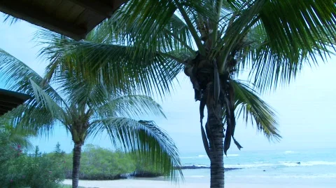 Isabela Island Stock Footage 758149