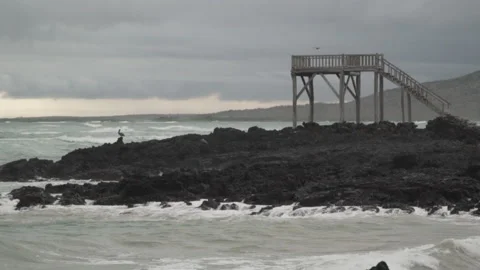 Isabela island Stock Footage 155028905