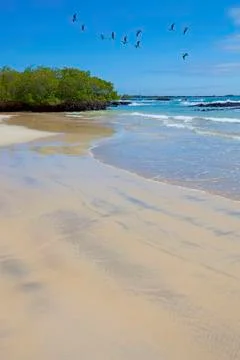 Isabela landscape Stock Photos