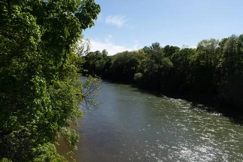 Isar River Flowing between Trees in Munich, Germany Foto stock