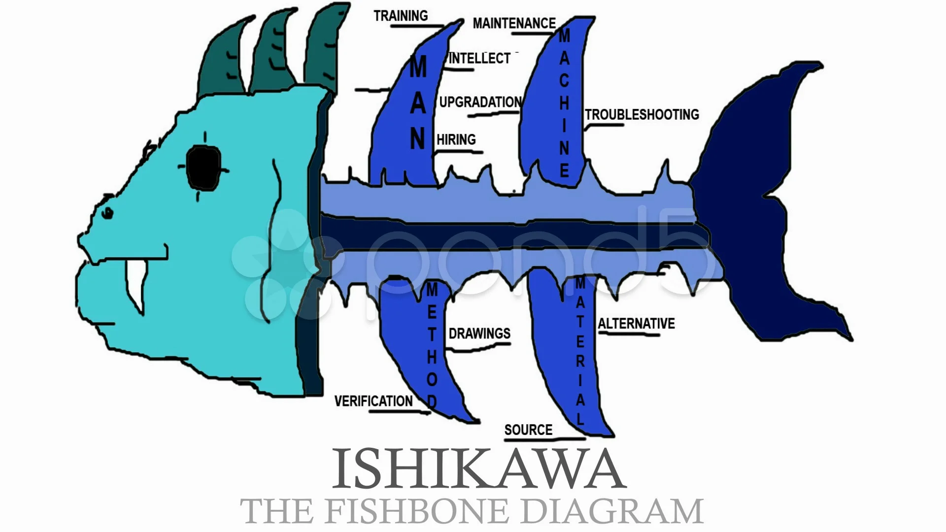 Ishikawa Fishbone Diagram | Stock Video | Pond5