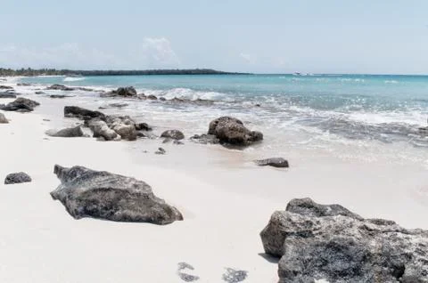 Isla Catalina Stock Photos
