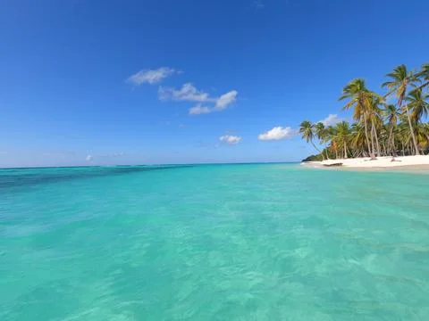 Isla Saona Stockfoto's