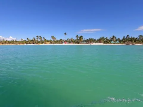 Isla Saona Stockfoto's
