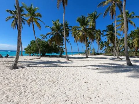 Isla Saona Stockfoto's