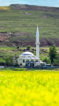 Islamic Mosque in the Spring Fields of Erzurum Plain Stock Photos