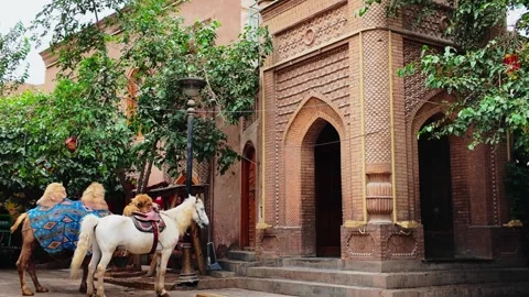 Islamic-style tower with a white horse and camel in Kashgar Old City Stock Footage 342863416