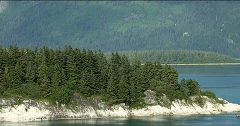 Island and Agles Video stock 92288912