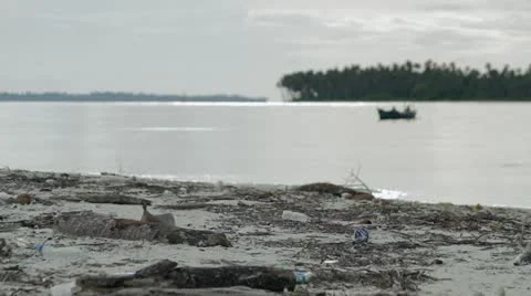 Island beach Video stock 12390157