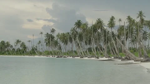 Island beach Video stock 12426025