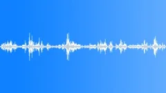 Island Birds of St Lucia LoopSound Effect