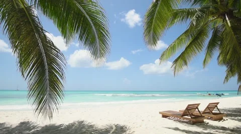 Island, boat, white sand, Beach, Caribbean Sea, yacht, palmsб chaise-longue Stock Footage