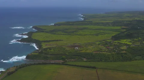 Island Coastline Stock Footage 51554863