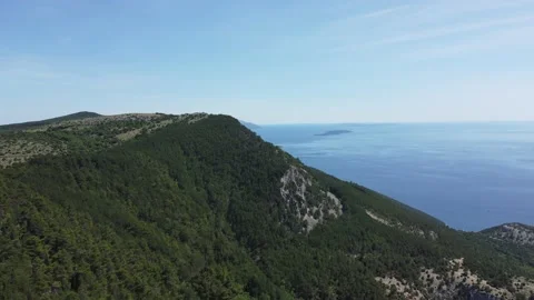 Island Cres from above Stock Footage 221200960