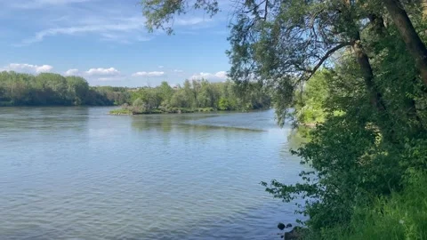 Island on the danube river Stock Footage 228362675