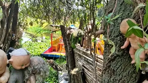 Island of the Dolls (La Isla de las Muñecas) Stock Footage