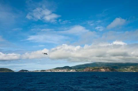 The Island Faial Stock Photos