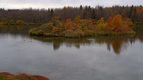 Island Fall Colors Stock Footage 73262607