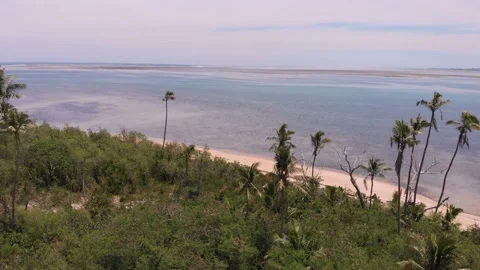 Island Flyover Stock Footage 167548246