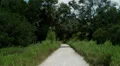 island foot path HD Footage