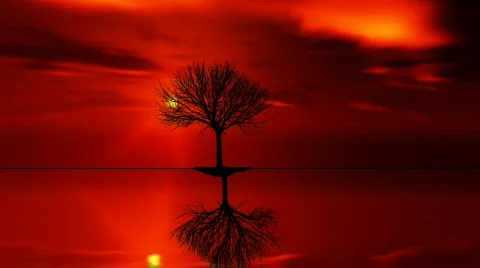 Island Stock-Footage 349982