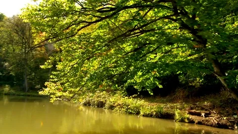 Island 動画素材 73312218