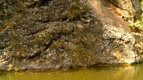 Island 動画素材 73312255