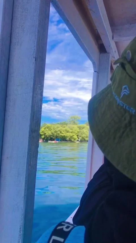 Island Stock Footage 220740123