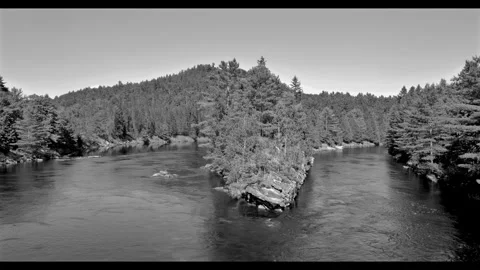 Island full of trees Stock Footage 279956822