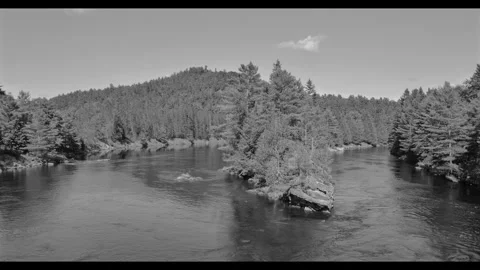 Island full of trees Stock Footage 279956826