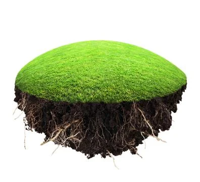Island   grass Stock Photos