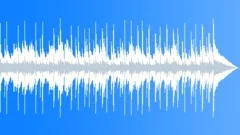 Island Groove 30 No Melody Or Horn SectionStock Music