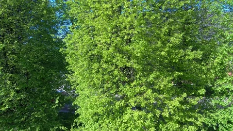 The island of Kant Video stock 95753992