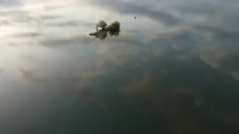 Island in Lake Stock Footage 204758938